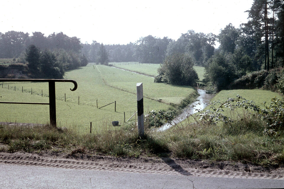 Eine ruhige Flößwiese mit einer kurvenreichen unbefestigten Straße, einem grasbewachsenen Feld, einem kleinen Bach und einem Holzzaun mit einem weiß-schwarz gestreiften Pfosten im Vordergrund.