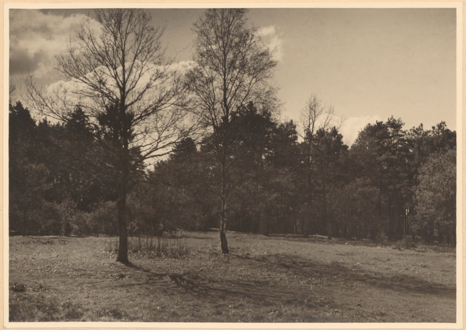 Eine Schwarz-Weiß-Fotografie zeigt eine ehemalige Hausstätte in Taubenteich mit einer grasbewachsenen Wiese, kahlen Bäumen und einem klaren blauen Himmel.