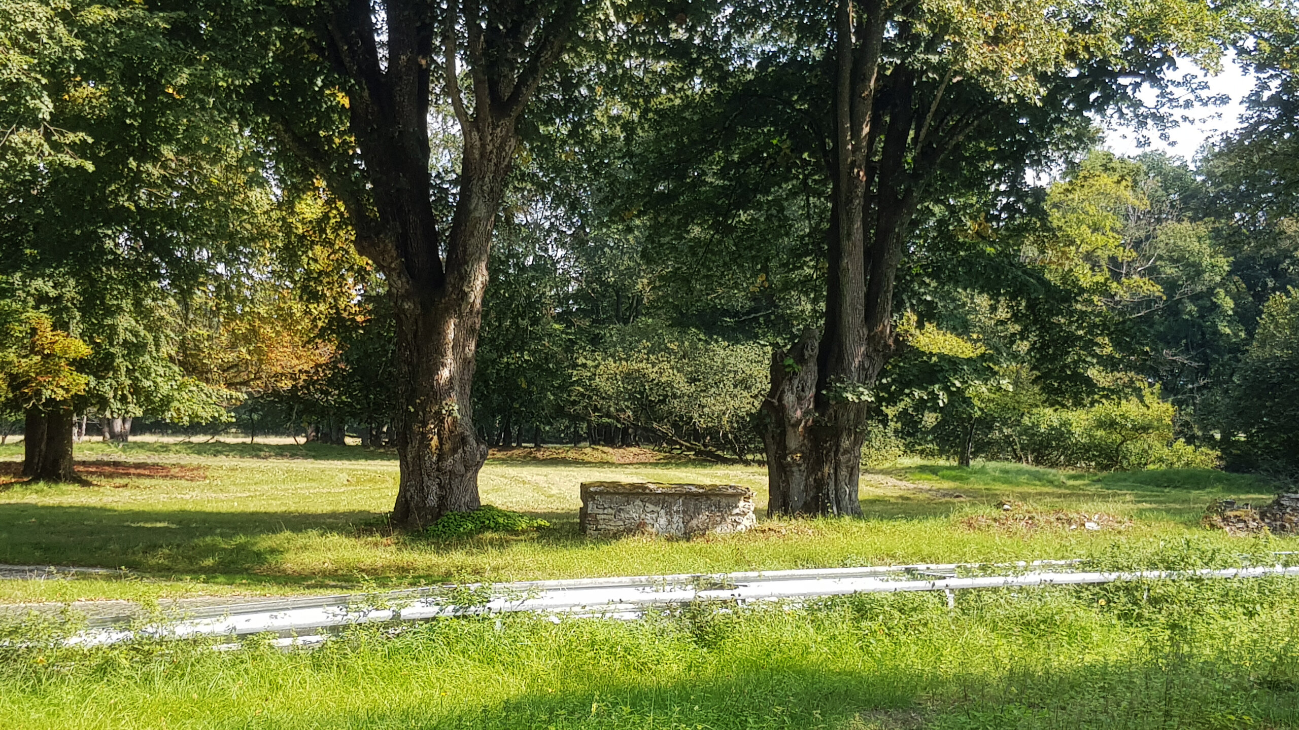 Steinerne Ruinen der alten Schule in Haustenbeck, umgeben von üppigem Grün und Bäumen.