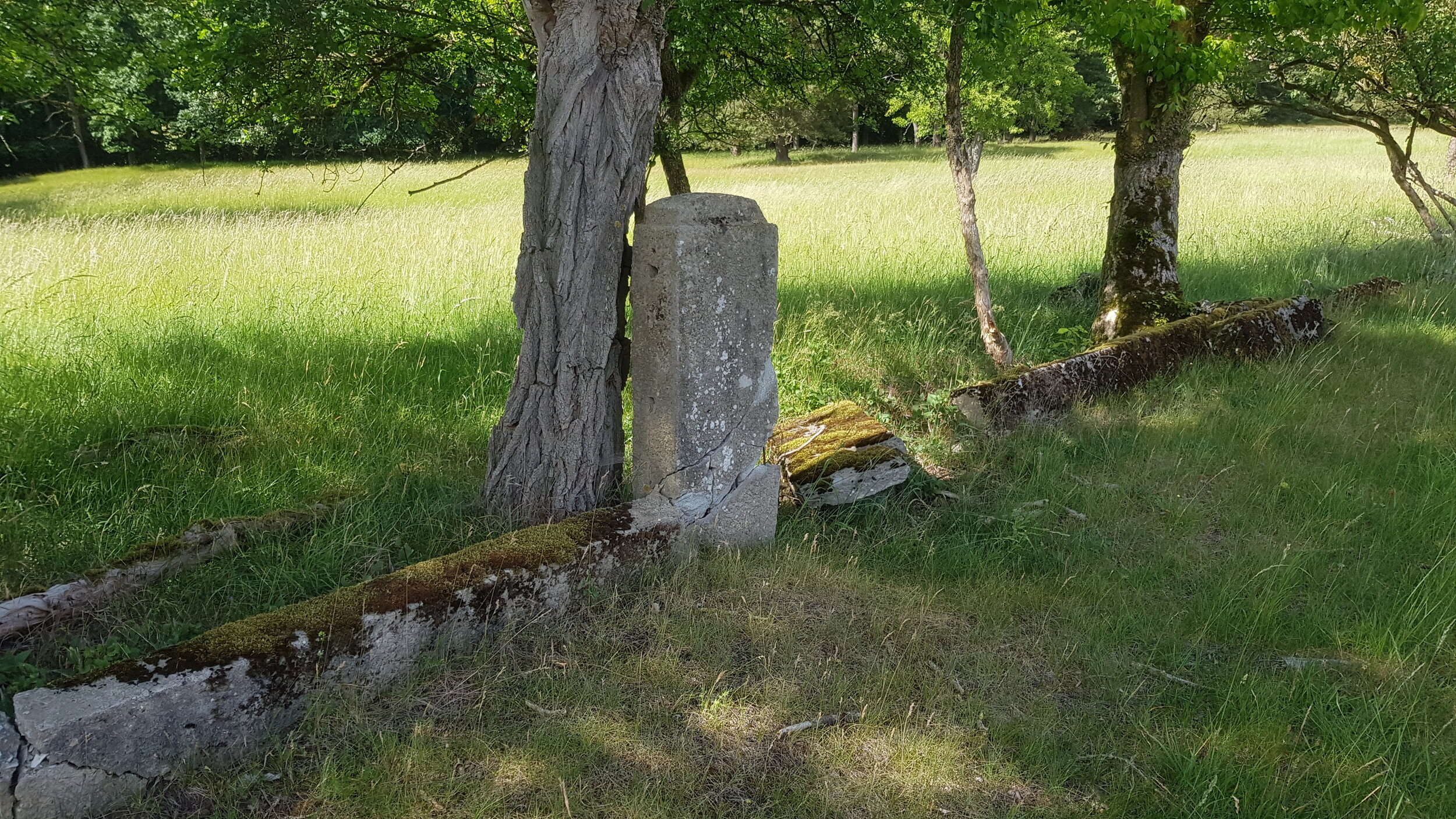Ein verwitterter, teilweise mit Moos bewachsener Stein steht in einem grünen Feld, in dessen Nähe sich ein Baumstamm und ein umgestürzter Baumstamm befinden. Es handelt sich um die Überreste des Arzthauses.
