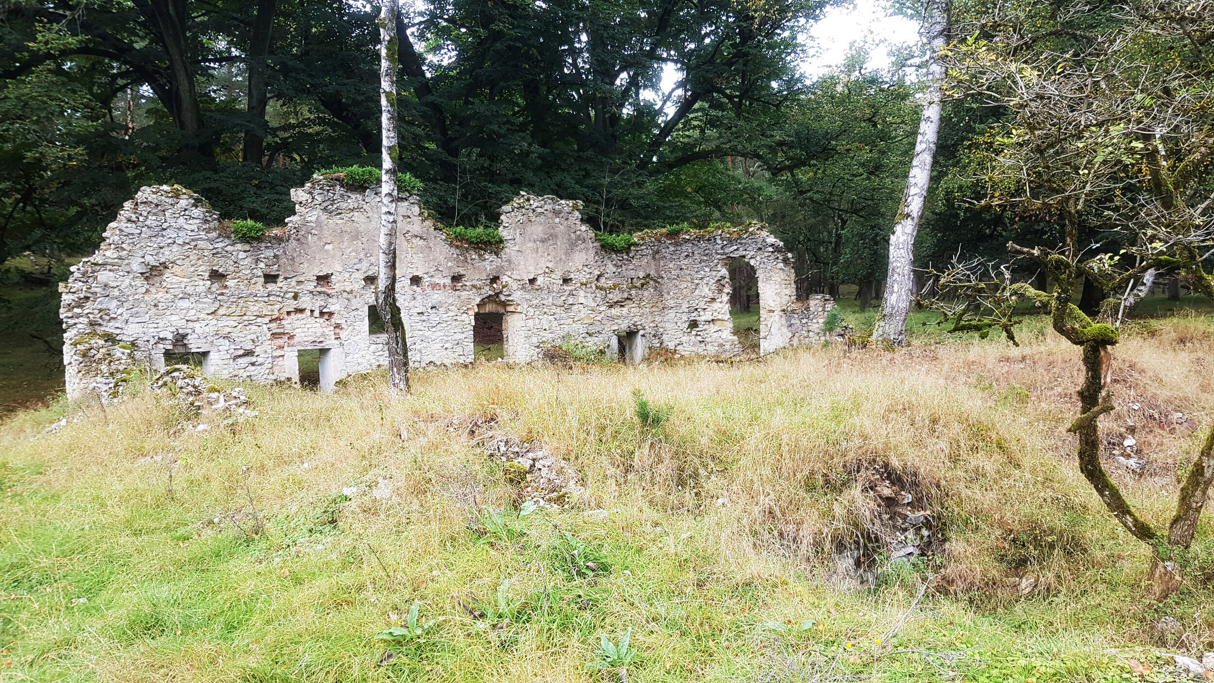 Eine alte Steinruine mit bröckelnden Mauern und Bögen steht inmitten eines üppigen Waldes, umgeben von hohen Bäumen und einem grasbewachsenen Hügel.