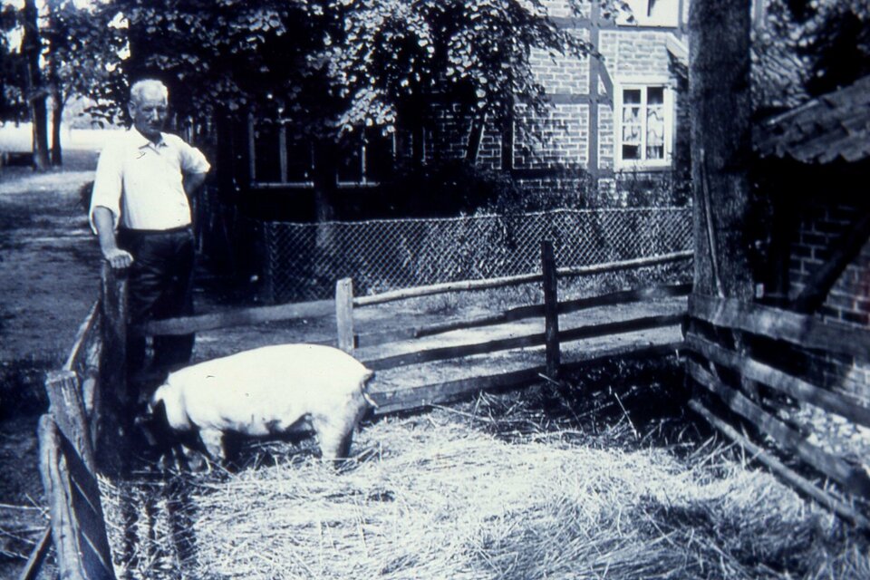 Ein Mann in weißem Hemd und schwarzer Hose steht an einem Holzzaun, begleitet von einem Schwein in einem mit Heu gefüllten Stall, mit einem Backsteingebäude und Bäumen im Hintergrund.
