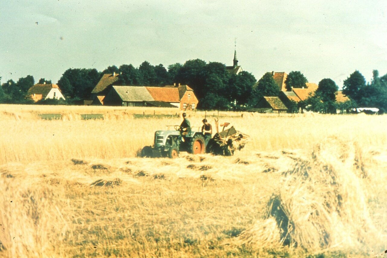 Ein blauer Traktor zieht einen großen Pflug durch ein goldenes Weizenfeld, mit einem kleinen Dorf und einer Kirche in der Ferne, unter einem klaren blauen Himmel.